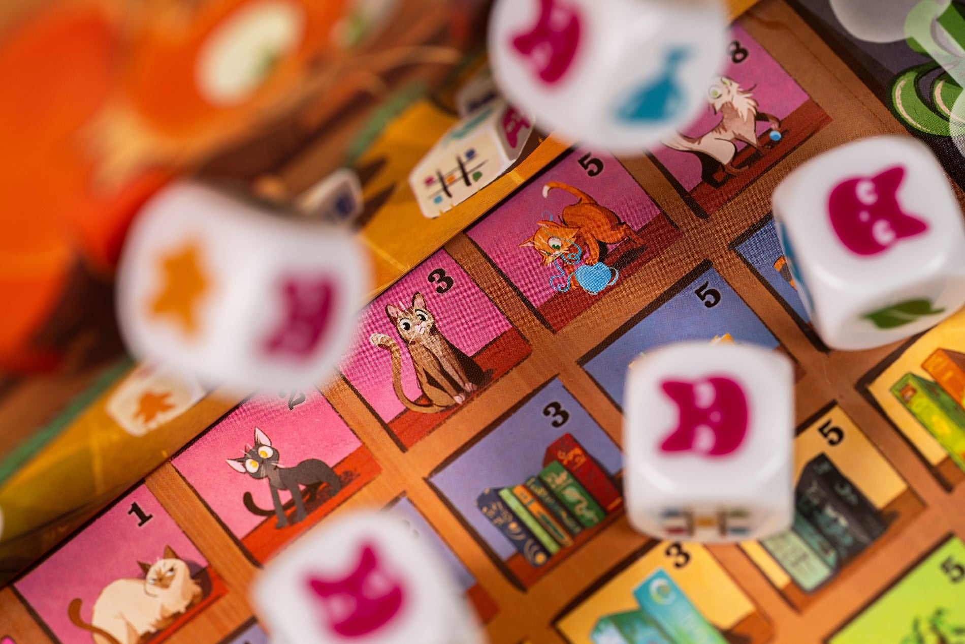 My Shelfie - The Dice Game
